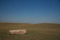 Buffalo rubbing stone at Old Man On His Back Prairie, S.W. Saskatchewan